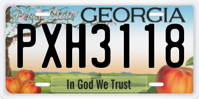 GA license plate PXH3118