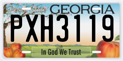 GA license plate PXH3119