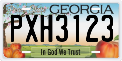 GA license plate PXH3123