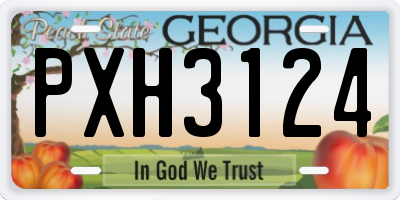 GA license plate PXH3124