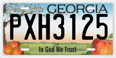 GA license plate PXH3125