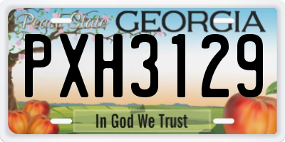 GA license plate PXH3129