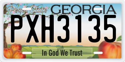 GA license plate PXH3135