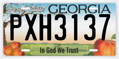 GA license plate PXH3137