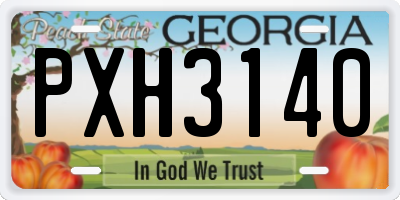 GA license plate PXH3140