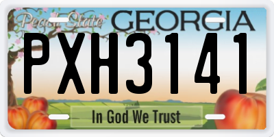 GA license plate PXH3141