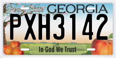 GA license plate PXH3142