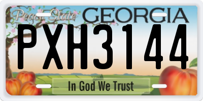 GA license plate PXH3144