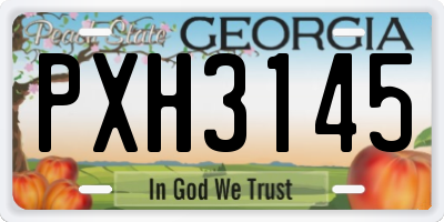 GA license plate PXH3145