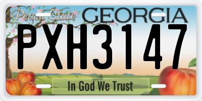 GA license plate PXH3147