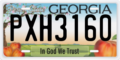 GA license plate PXH3160