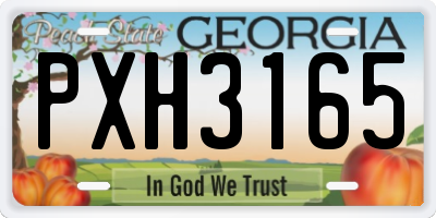 GA license plate PXH3165