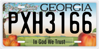 GA license plate PXH3166
