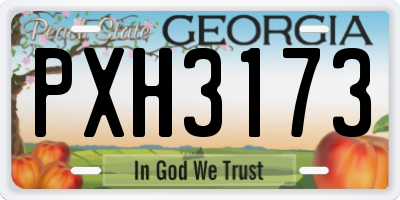 GA license plate PXH3173
