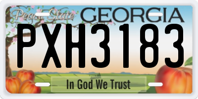 GA license plate PXH3183