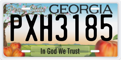 GA license plate PXH3185