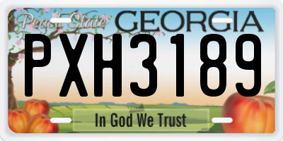 GA license plate PXH3189