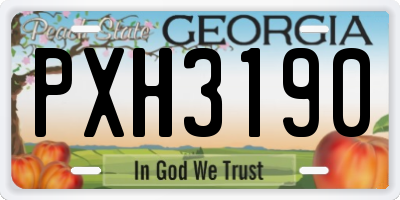 GA license plate PXH3190