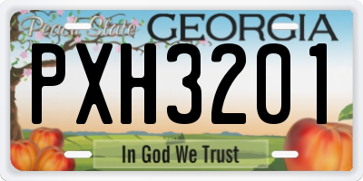 GA license plate PXH3201