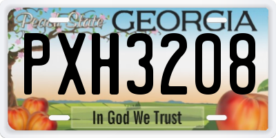 GA license plate PXH3208