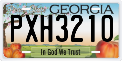 GA license plate PXH3210