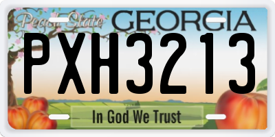 GA license plate PXH3213