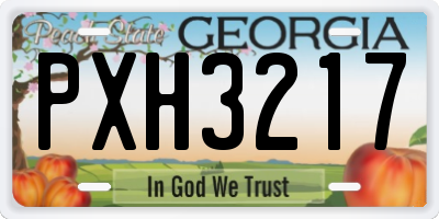 GA license plate PXH3217