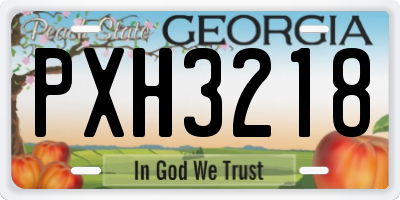 GA license plate PXH3218