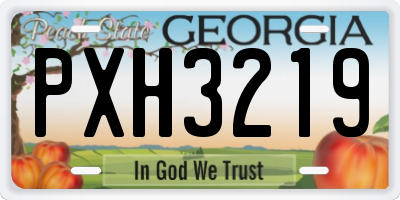 GA license plate PXH3219