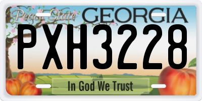 GA license plate PXH3228