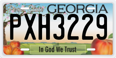 GA license plate PXH3229