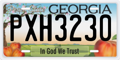 GA license plate PXH3230