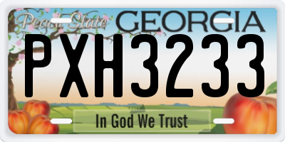 GA license plate PXH3233