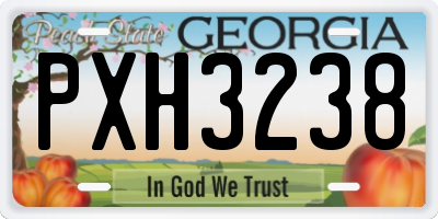 GA license plate PXH3238