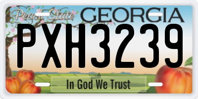 GA license plate PXH3239