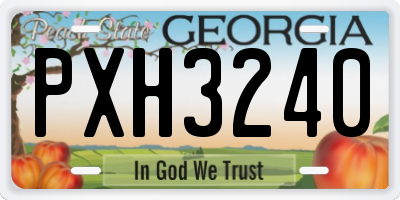 GA license plate PXH3240
