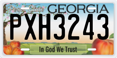 GA license plate PXH3243