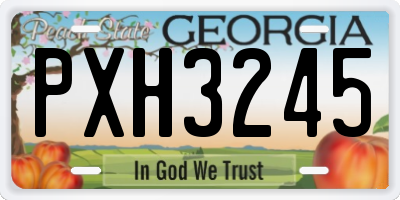 GA license plate PXH3245