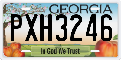 GA license plate PXH3246