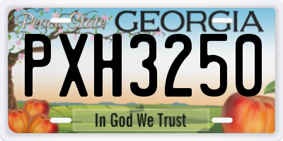 GA license plate PXH3250