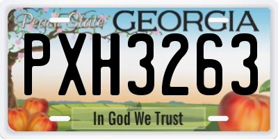 GA license plate PXH3263