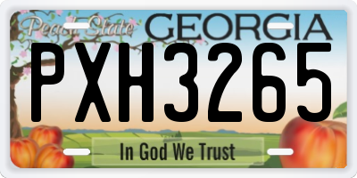 GA license plate PXH3265