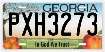 GA license plate PXH3273