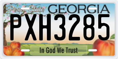 GA license plate PXH3285