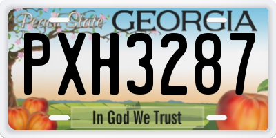 GA license plate PXH3287