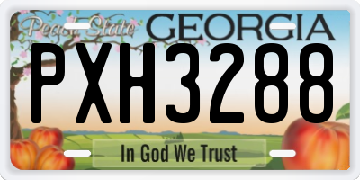 GA license plate PXH3288
