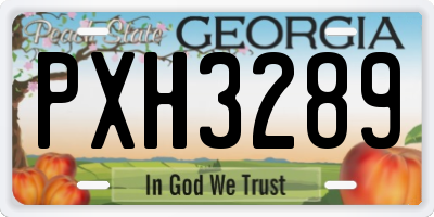 GA license plate PXH3289