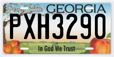 GA license plate PXH3290