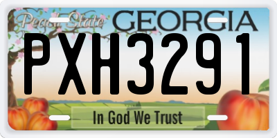GA license plate PXH3291