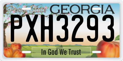 GA license plate PXH3293